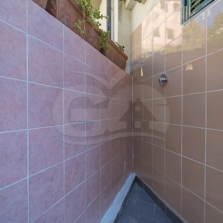 La Rondine Su - Goelba * 세켈로